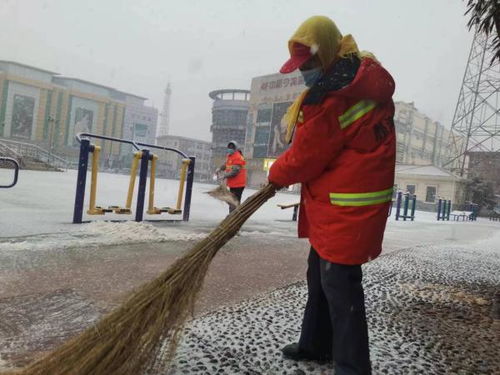 静海冬雪 随下随清见真章 盐马路网保畅通